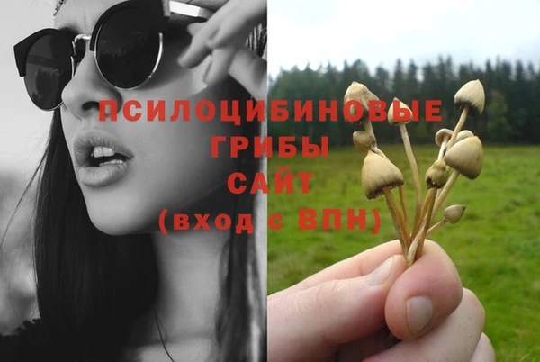 мескалин Богданович