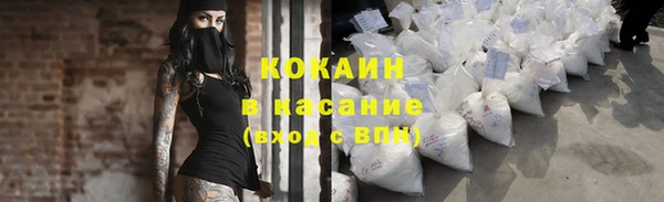мяу мяу мука Белокуриха