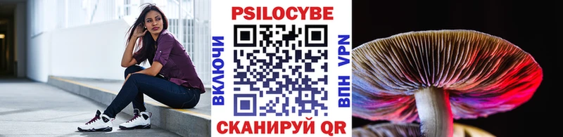 Псилоцибиновые грибы Psilocybe  Беломорск 